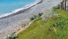 Appartamento vista mare - Foto 3