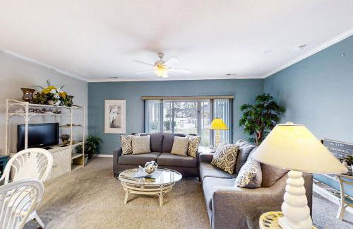 Scotch Broom E-104 - Foto 1