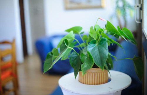 Anastasia's House - Foto 64