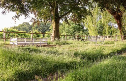 Oak Meadow - Foto 37