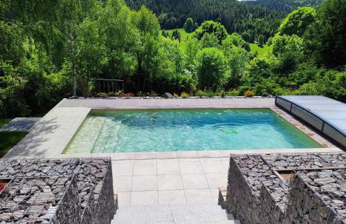 Le Cerf, chalet cocooning avec piscine et billard - Foto 32