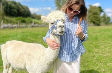 Unique Stay on an Alpaca Therapy Farm with Miniature Donkeys North Wales - Foto 23