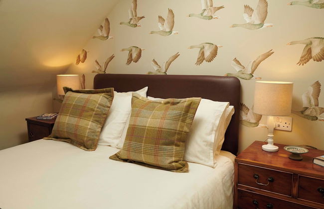 Downright Gabbler - Foto 18