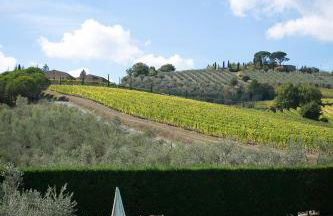 Tenuta San Filippo - Foto 7