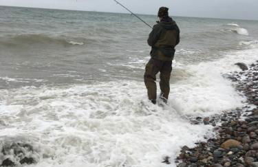 Ostseeblick - Foto 35