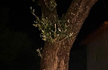 Casa dos AVÓS - Foto 22