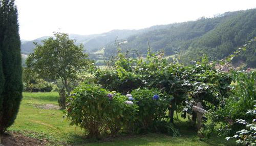 Casa El Trabeseo - Foto 5, Garden view