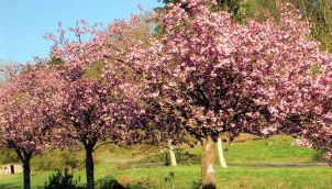 Zur alten Wagnerei - Foto 3