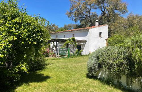 La Casita de Platero - Foto 1