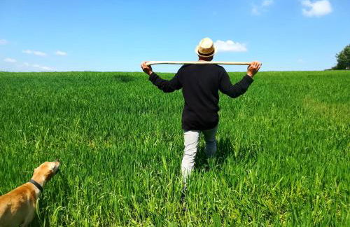 Agriturismo Il Riccio - Foto 6