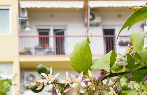 Apartments Marli - Foto 1