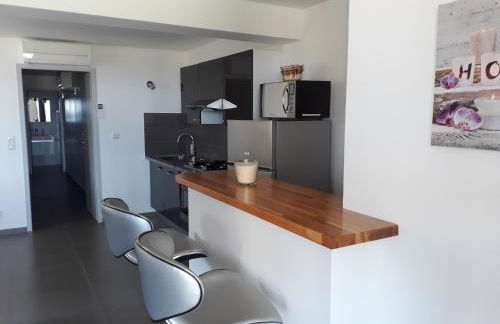 f3 vue mer et montagne - Foto 14