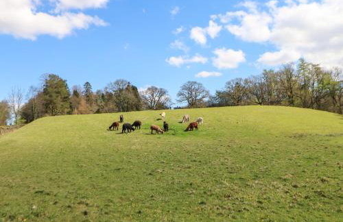 Burnt Mill Cottage - Foto 64