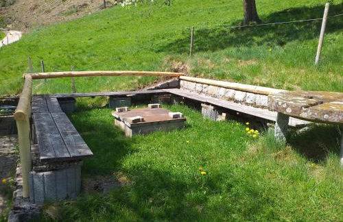 Unterhohnenhof - Foto 19