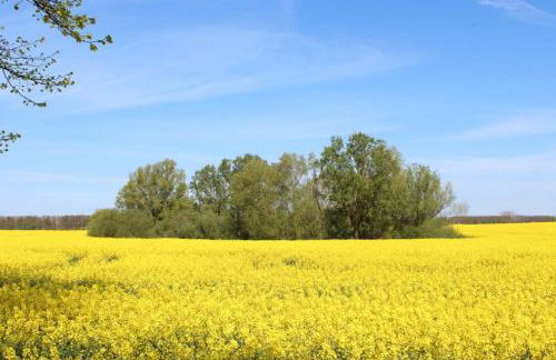 Herrenhaus Blengow App.13 - Foto 10