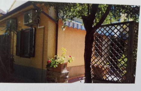 CASA VACANZE IN CAPRAIA ISOLA - Foto 9