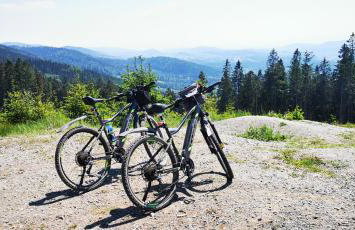 Klimatyczny apartament nr 8 z widokiem na góry Sowie - Foto 38