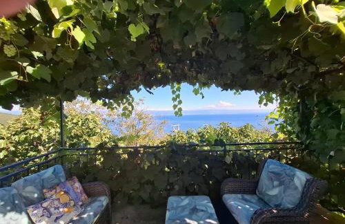 Apartments Blue & Green - Foto 80