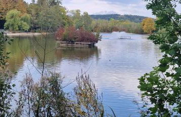 am Salinensee - Foto 23