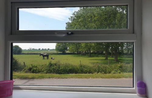 The Old Dairy Accommodation - Foto 15