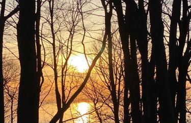 The Sanctuary at Deer Dune , Saugatuck - Foto 9