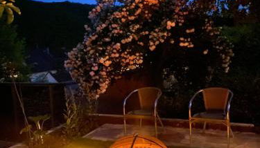 Pension mit Moselblick - Foto 2, Garden