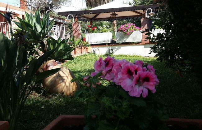 A True Oasis In The City - Foto 1