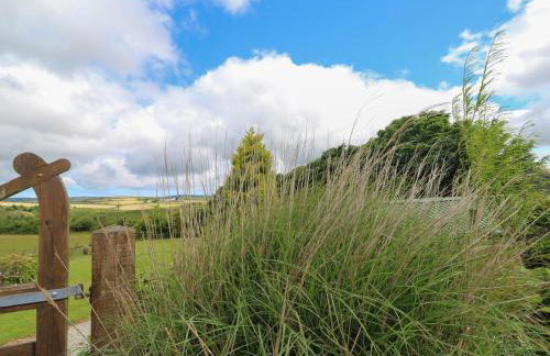 Cuckoo's Rest - Foto 19