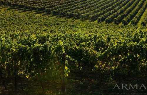 Casa Allure - Foto 44