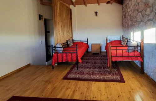 Τα πέτρινα στο Σκεπαστό - Photo 22