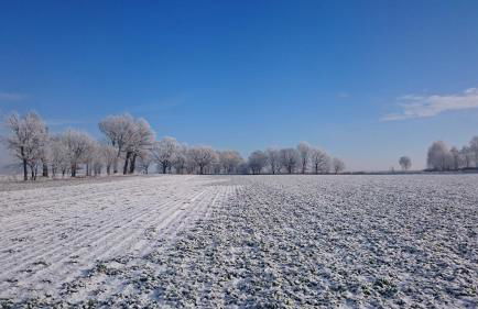Kulturfreizeiten Ferienwohnungen - Photo 57