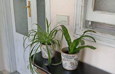 Piso Iwvaxi, gallery house. Ourense. - Foto 22