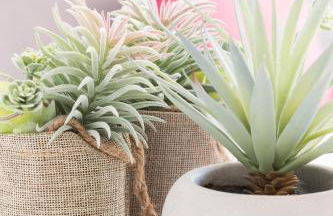 Family Beach Malibú II - Photo 27