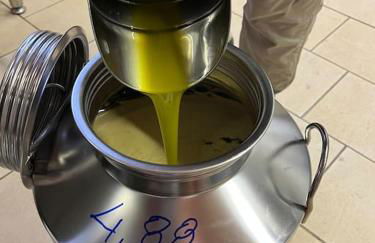 Peaceful Luxury Farmhouse - Stunning Alps Views - Foto 44