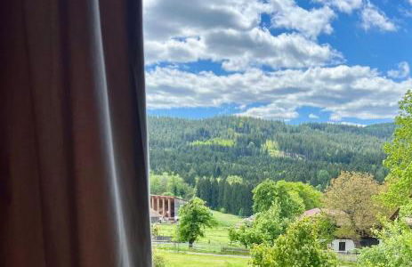 Gemütliche Ferienwohnung in Bodenmais I Sauna I Balkon I Blick Silberberg - Photo 45