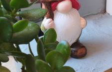 Spartines home - Photo 12