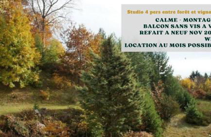 Studio entre forêt et vignoble ! - Foto 1