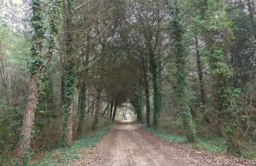 Lido di Spina vista mare pineta - A Casa di Alessandra - Foto 41
