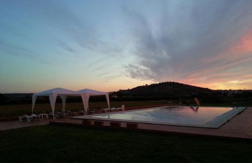 Quinta das Arribas - Foto 22