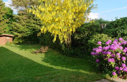 Ferienhaus Freilingen 74 - Photo 14