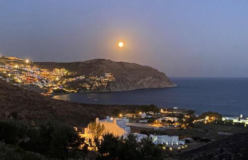 Villa Artisti Mykonos - Photo 69