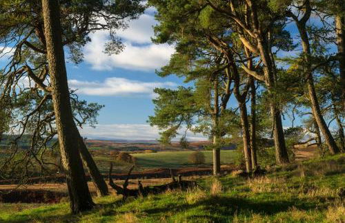 Kennels Cottage - Photo 22