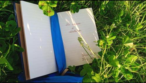 Chalet Abelleira - Foto 5, Garden, Garden view