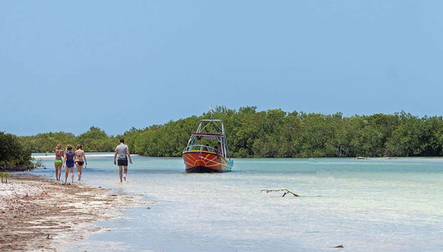 A paisagem em uma das paradas