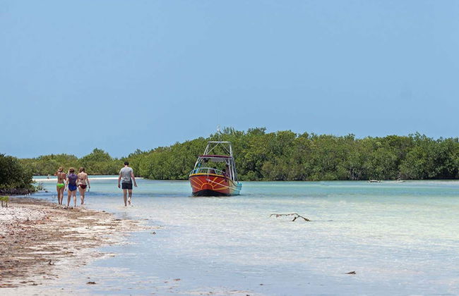Snorkelling with Whale Sharks in Holbox - Photo 5