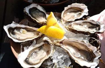 La Demeure du Figuier - Foto 24