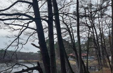 Calm House Krzynia - dom nad jeziorem do wynajęcia - Foto 20