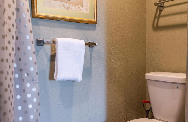 Palm Studio by Orlando Short Term - Foto 9