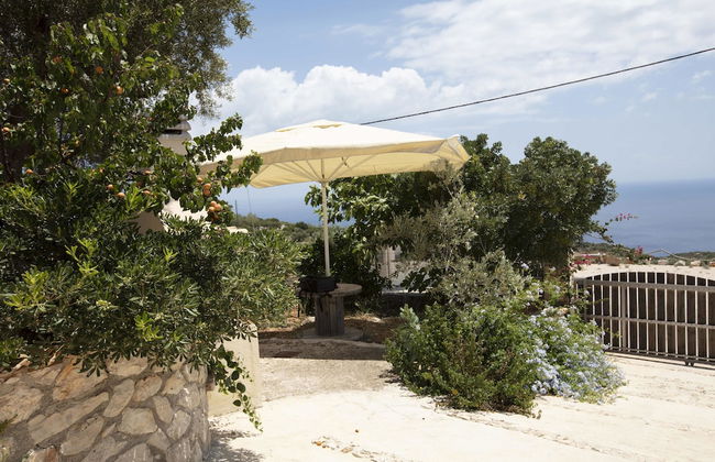 Anemos Studio - Foto 30