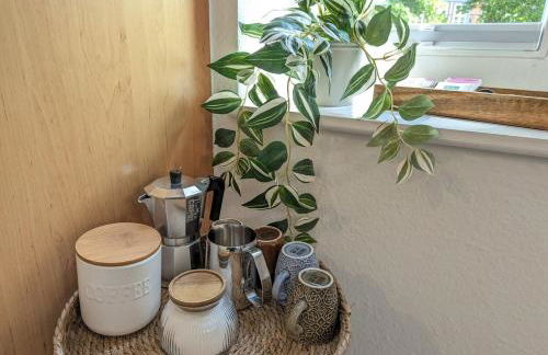 Wohnglück direkt am Pfaffenteich - Foto 9